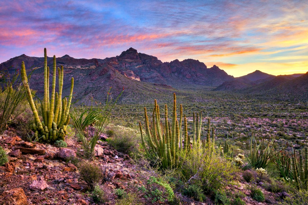 Tonto National Forest